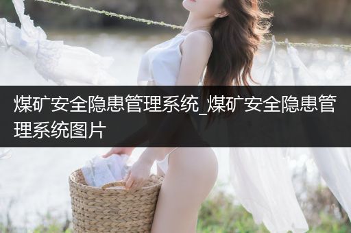 煤矿安全隐患管理系统_煤矿安全隐患管理系统图片