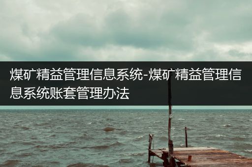 煤矿精益管理信息系统-煤矿精益管理信息系统账套管理办法