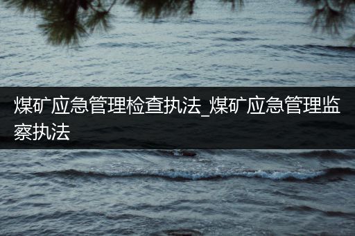 煤矿应急管理检查执法_煤矿应急管理监察执法