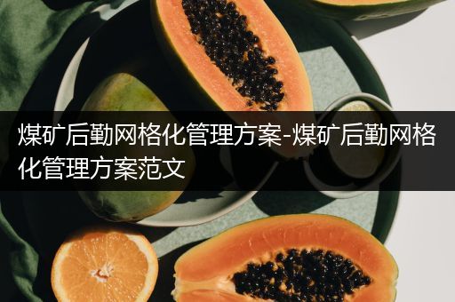 煤矿后勤网格化管理方案-煤矿后勤网格化管理方案范文