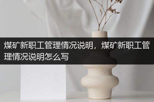 煤矿新职工管理情况说明，煤矿新职工管理情况说明怎么写