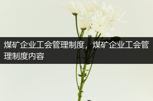 煤矿企业工会管理制度，煤矿企业工会管理制度内容