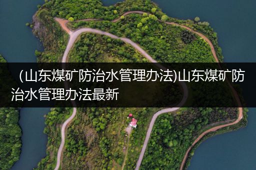 （山东煤矿防治水管理办法)山东煤矿防治水管理办法最新