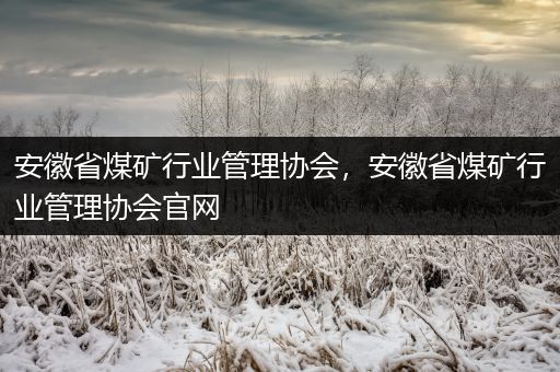 安徽省煤矿行业管理协会，安徽省煤矿行业管理协会官网