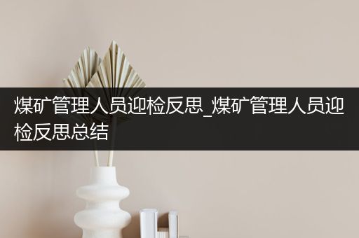 煤矿管理人员迎检反思_煤矿管理人员迎检反思总结