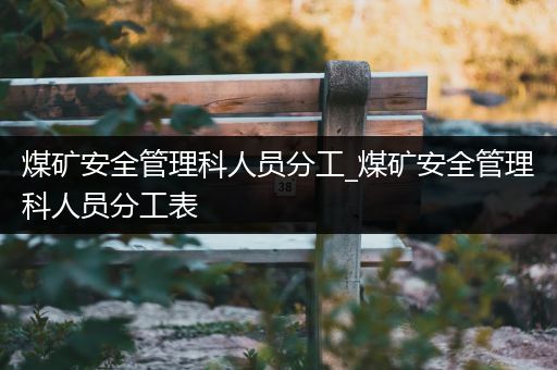 煤矿安全管理科人员分工_煤矿安全管理科人员分工表