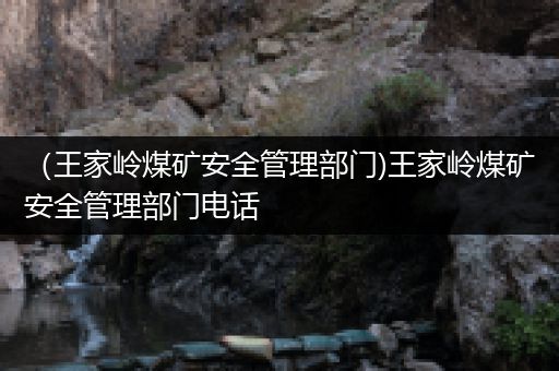 （王家岭煤矿安全管理部门)王家岭煤矿安全管理部门电话