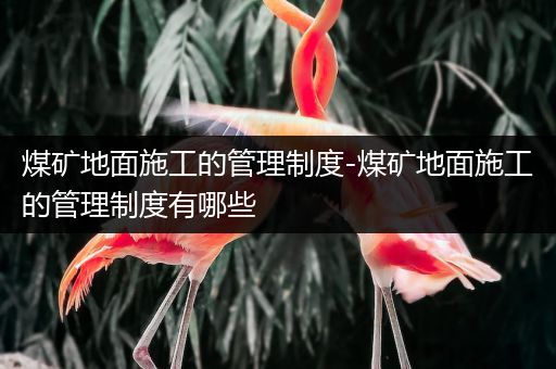 煤矿地面施工的管理制度-煤矿地面施工的管理制度有哪些