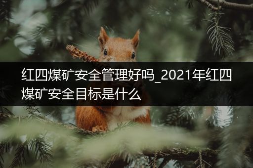 红四煤矿安全管理好吗_2021年红四煤矿安全目标是什么