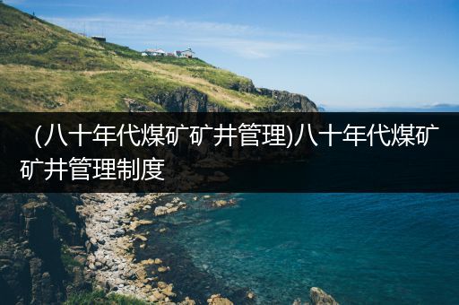 （八十年代煤矿矿井管理)八十年代煤矿矿井管理制度