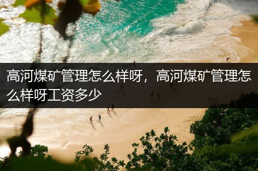 高河煤矿管理怎么样呀，高河煤矿管理怎么样呀工资多少