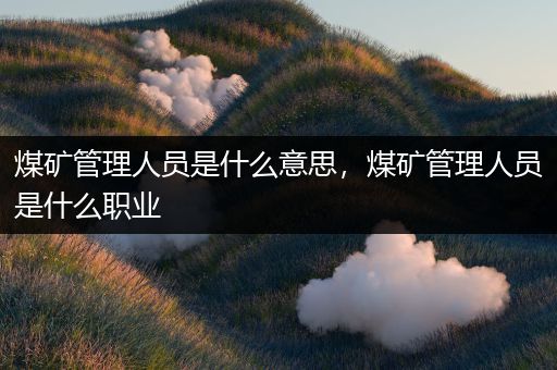 煤矿管理人员是什么意思，煤矿管理人员是什么职业