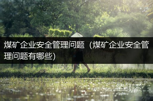 煤矿企业安全管理问题（煤矿企业安全管理问题有哪些）