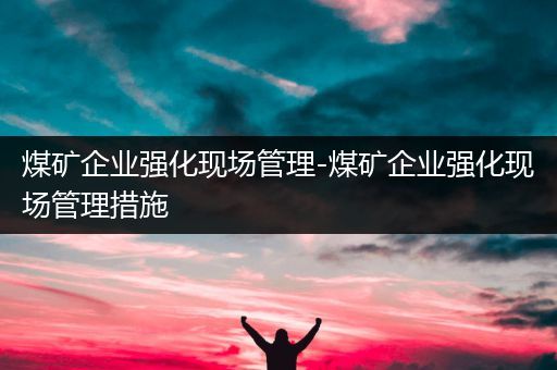 煤矿企业强化现场管理-煤矿企业强化现场管理措施