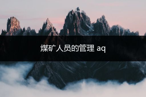 煤矿人员的管理 aq