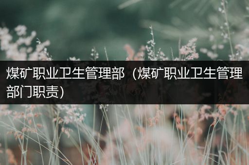 煤矿职业卫生管理部（煤矿职业卫生管理部门职责）