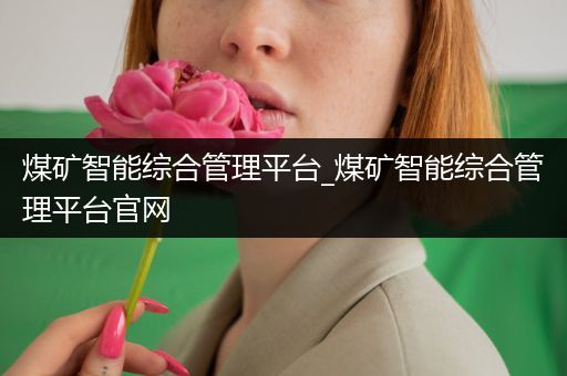 煤矿智能综合管理平台_煤矿智能综合管理平台官网