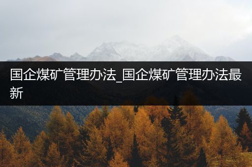 国企煤矿管理办法_国企煤矿管理办法最新