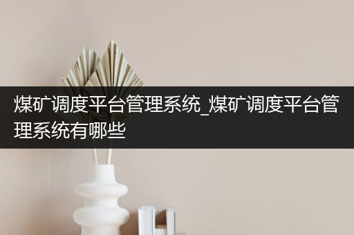 煤矿调度平台管理系统_煤矿调度平台管理系统有哪些