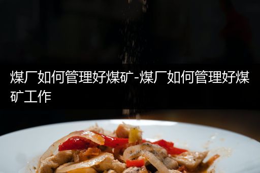 煤厂如何管理好煤矿-煤厂如何管理好煤矿工作