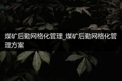 煤矿后勤网格化管理_煤矿后勤网格化管理方案