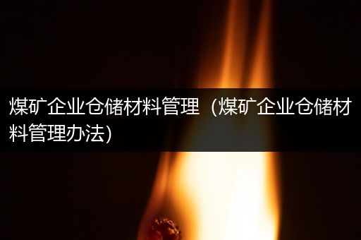 煤矿企业仓储材料管理（煤矿企业仓储材料管理办法）