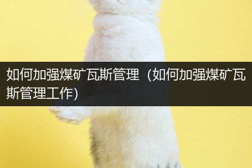 如何加强煤矿瓦斯管理（如何加强煤矿瓦斯管理工作）