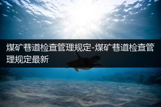 煤矿巷道检查管理规定-煤矿巷道检查管理规定最新