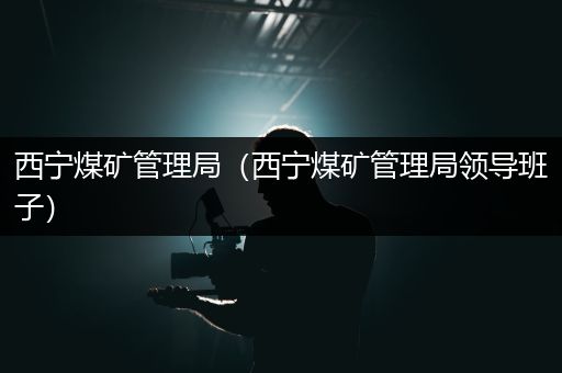 西宁煤矿管理局（西宁煤矿管理局领导班子）