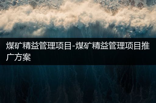 煤矿精益管理项目-煤矿精益管理项目推广方案