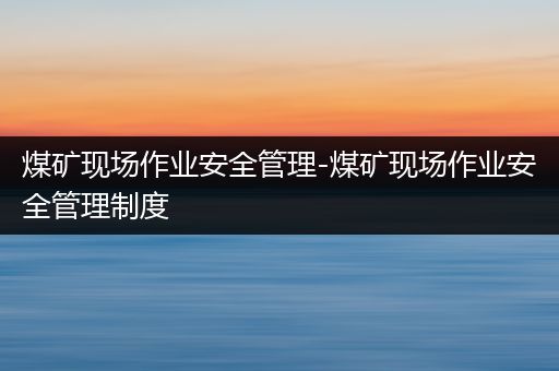 煤矿现场作业安全管理-煤矿现场作业安全管理制度