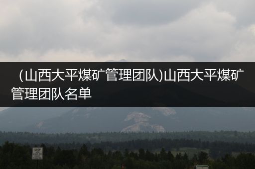 （山西大平煤矿管理团队)山西大平煤矿管理团队名单