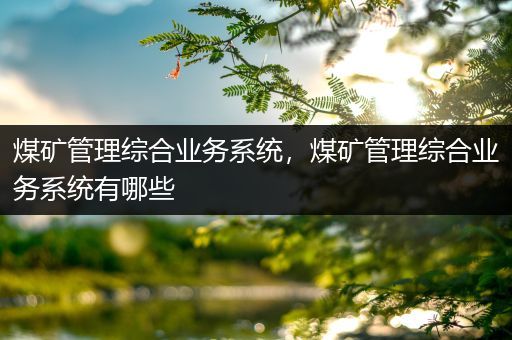 煤矿管理综合业务系统，煤矿管理综合业务系统有哪些